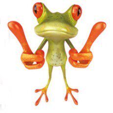 3D立体感汽车贴纸 搞笑卡通青蛙车贴避祸 壁虎车贴 逼真个性贴纸