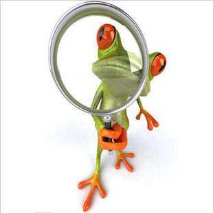 3D立体感汽车贴纸 搞笑卡通青蛙车贴避祸 壁虎车贴 逼真个性贴纸