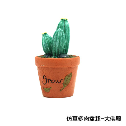 如果zakka创意迷你多肉植物小盆栽仙人掌花卧室家居装饰小摆设