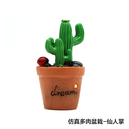 如果zakka创意迷你多肉植物小盆栽仙人掌花卧室家居装饰小摆设