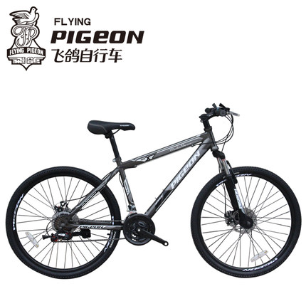 flying pigeon bicycle for sale